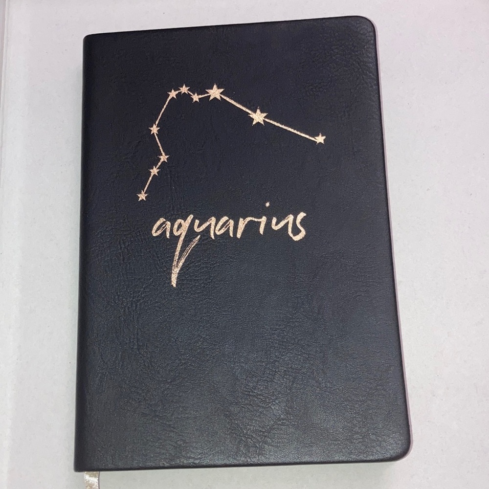 Aquarius Journal and pink pouch
